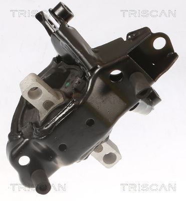 TRISCAN 8505 29103 Lagerung, Motor