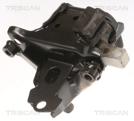 TRISCAN 8505 29103 Lagerung, Motor