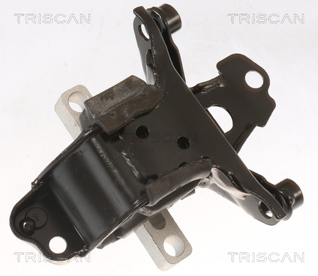 TRISCAN 8505 29103 Lagerung, Motor
