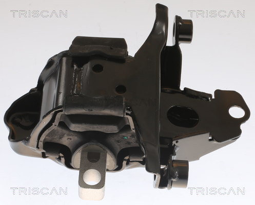 TRISCAN 8505 29104 Lagerung, Motor