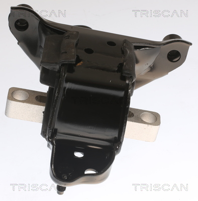 TRISCAN 8505 29104 Lagerung, Motor