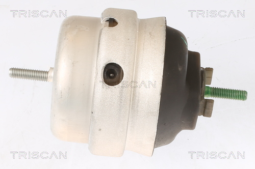 TRISCAN 8505 29105 Lagerung, Motor