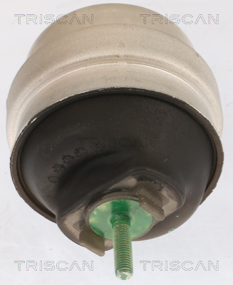 TRISCAN 8505 29105 Lagerung, Motor