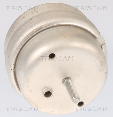 TRISCAN 8505 29105 Lagerung, Motor