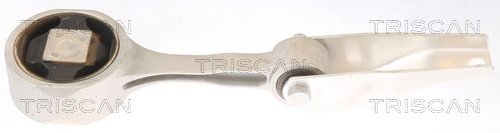 TRISCAN 8505 29106 Lagerung, Motor