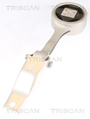 TRISCAN 8505 29106 Lagerung, Motor