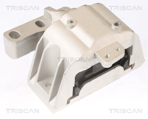 TRISCAN 8505 29107 Lagerung, Motor