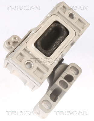 TRISCAN 8505 29107 Lagerung, Motor