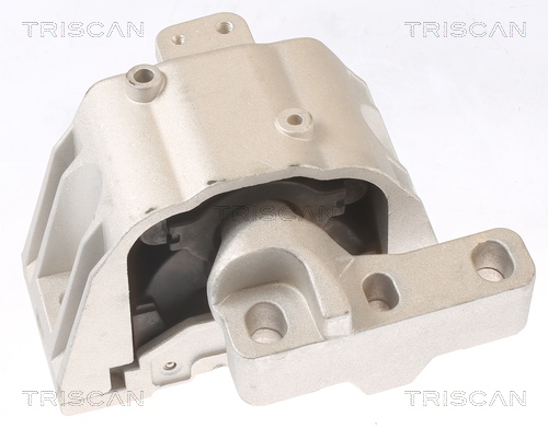 TRISCAN 8505 29107 Lagerung, Motor