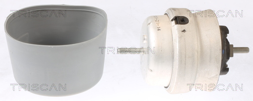 TRISCAN 8505 29108 Lagerung, Motor