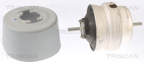 TRISCAN 8505 29108 Lagerung, Motor
