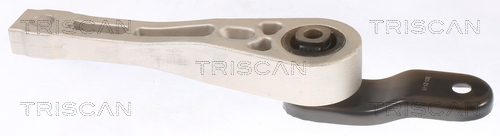 TRISCAN 8505 29109 Lagerung, Motor