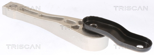 TRISCAN 8505 29109 Lagerung, Motor