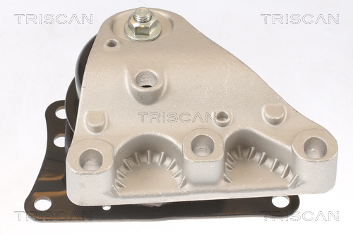 TRISCAN 8505 29110 Lagerung, Motor
