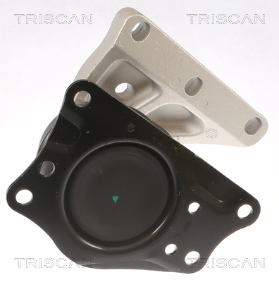 TRISCAN 8505 29110 Lagerung, Motor