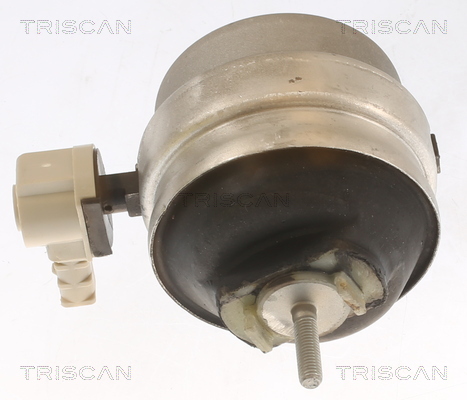 TRISCAN 8505 29111 Lagerung, Motor