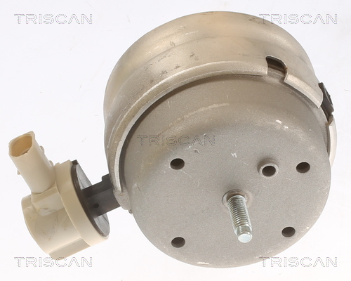 TRISCAN 8505 29111 Lagerung, Motor
