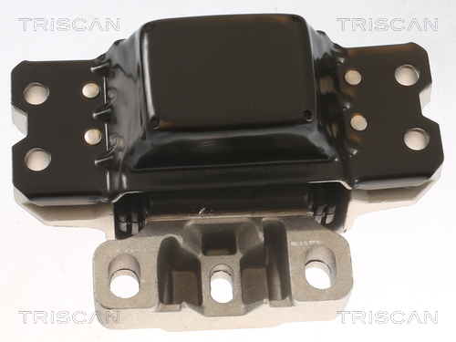 TRISCAN 8505 29112 Lagerung, Motor