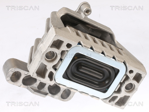 TRISCAN 8505 29112 Lagerung, Motor