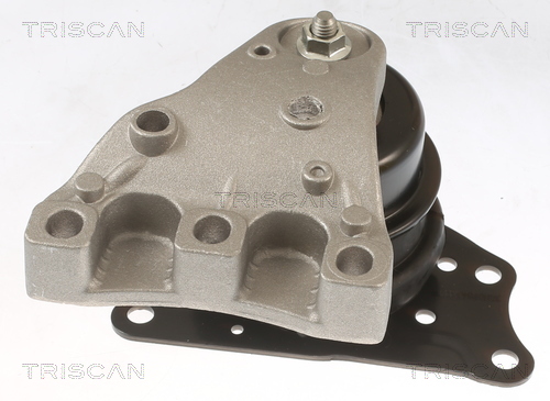 TRISCAN 8505 29113 Lagerung, Motor