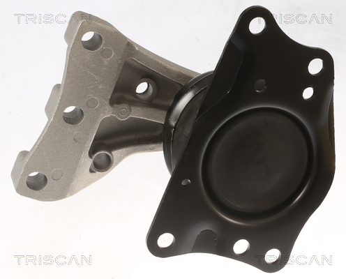 TRISCAN 8505 29113 Lagerung, Motor