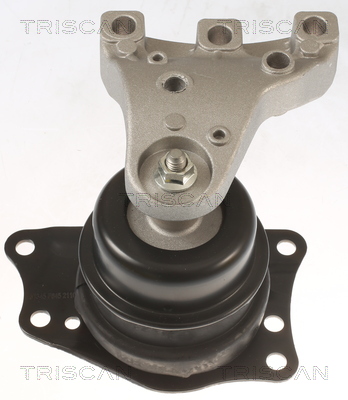 TRISCAN 8505 29113 Lagerung, Motor