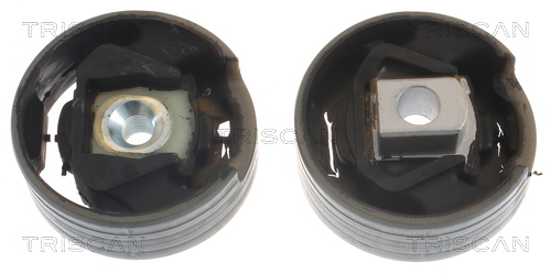 TRISCAN 8505 29114 Lagerung, Motor