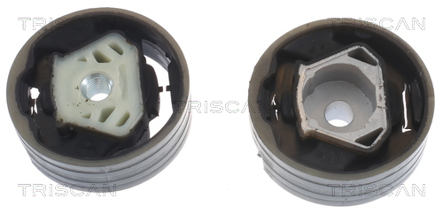 TRISCAN 8505 29114 Lagerung, Motor