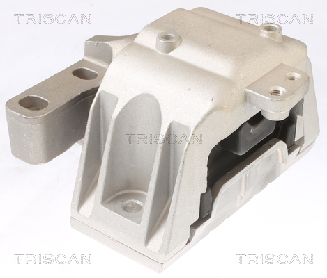 TRISCAN 8505 29115 Lagerung, Motor