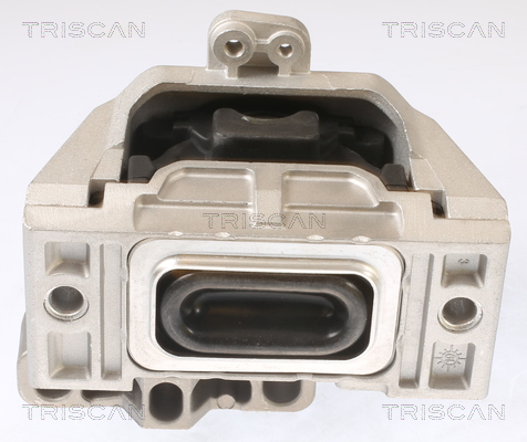 TRISCAN 8505 29115 Lagerung, Motor