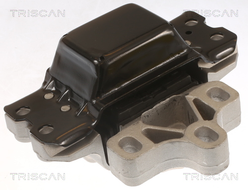 TRISCAN 8505 29116 Lagerung, Motor