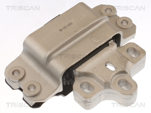 TRISCAN 8505 29116 Lagerung, Motor