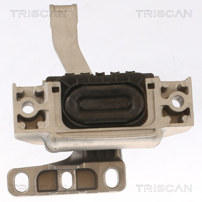 TRISCAN 8505 29117 Lagerung, Motor