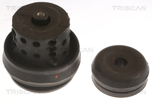 TRISCAN 8505 29118 Lagerung, Motor
