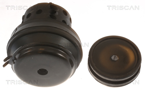 TRISCAN 8505 29118 Lagerung, Motor