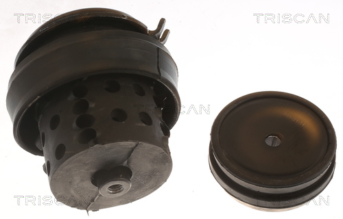 TRISCAN 8505 29118 Lagerung, Motor
