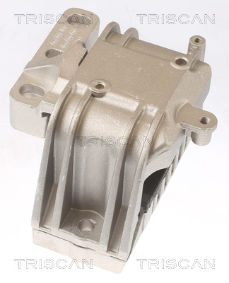 TRISCAN 8505 29119 Lagerung, Motor