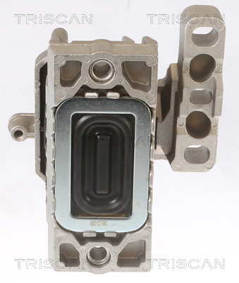TRISCAN 8505 29119 Lagerung, Motor