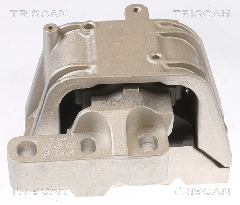TRISCAN 8505 29119 Lagerung, Motor