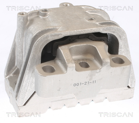 TRISCAN 8505 29121 Lagerung, Motor