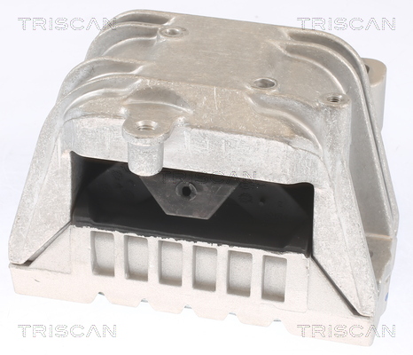 TRISCAN 8505 29121 Lagerung, Motor