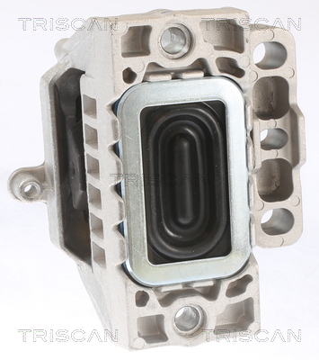 TRISCAN 8505 29121 Lagerung, Motor