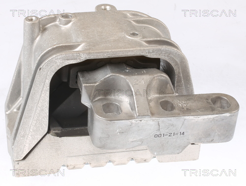 TRISCAN 8505 29122 Lagerung, Motor