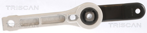 TRISCAN 8505 29123 Lagerung, Motor