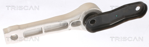TRISCAN 8505 29123 Lagerung, Motor