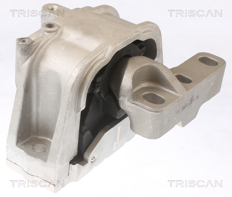 TRISCAN 8505 29124 Lagerung, Motor