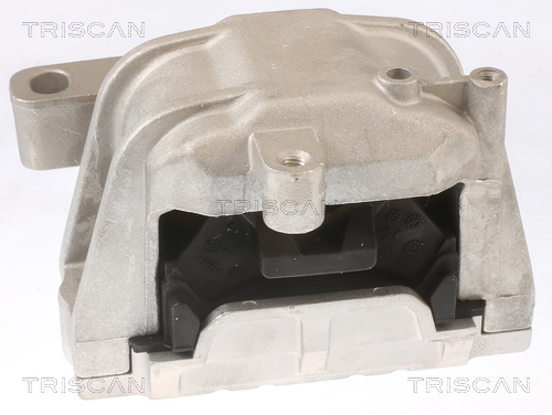TRISCAN 8505 29124 Lagerung, Motor