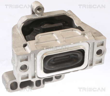 TRISCAN 8505 29124 Lagerung, Motor