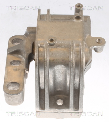 TRISCAN 8505 29125 Lagerung, Motor
