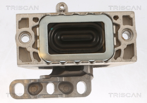 TRISCAN 8505 29125 Lagerung, Motor